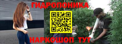 не бодяженный Сланцы